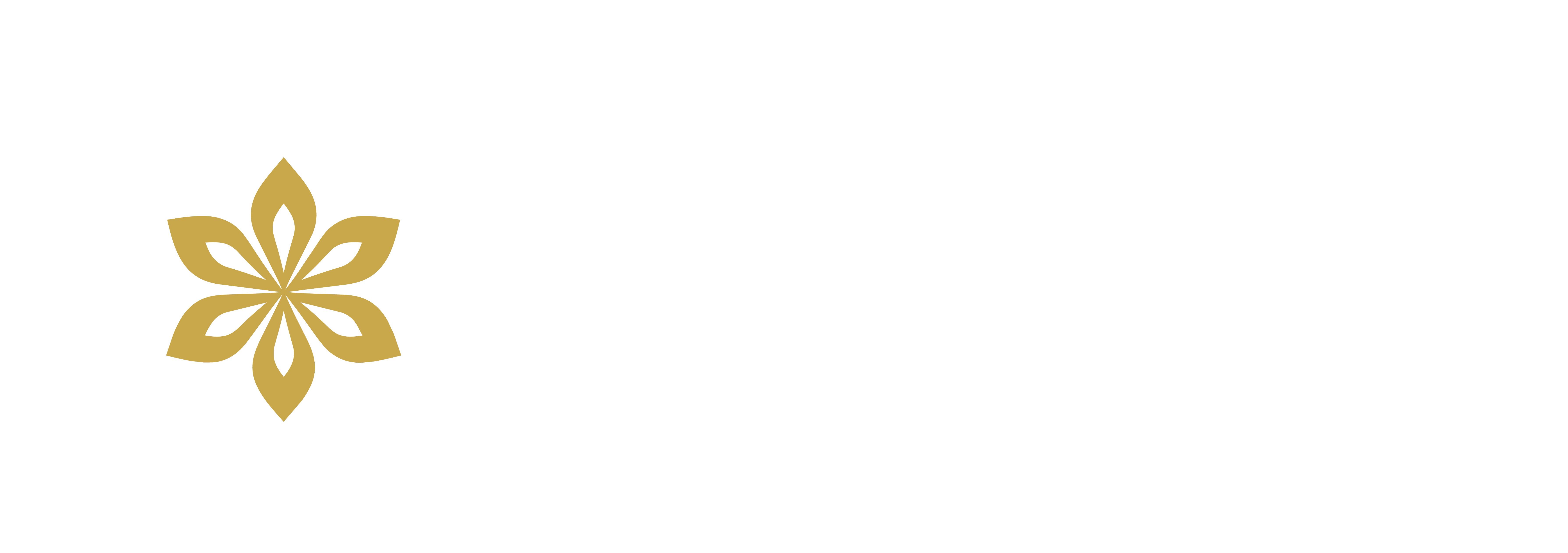 Lirio Club